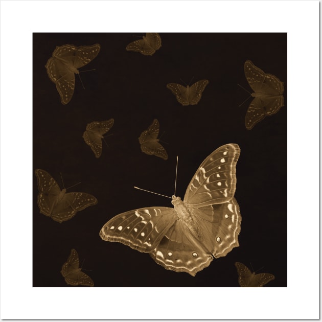 Butterflies in the dark Wall Art by hereswendy